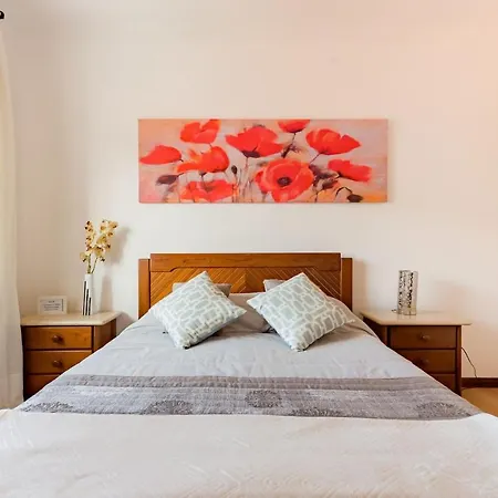 Daire Casa Do Faria *